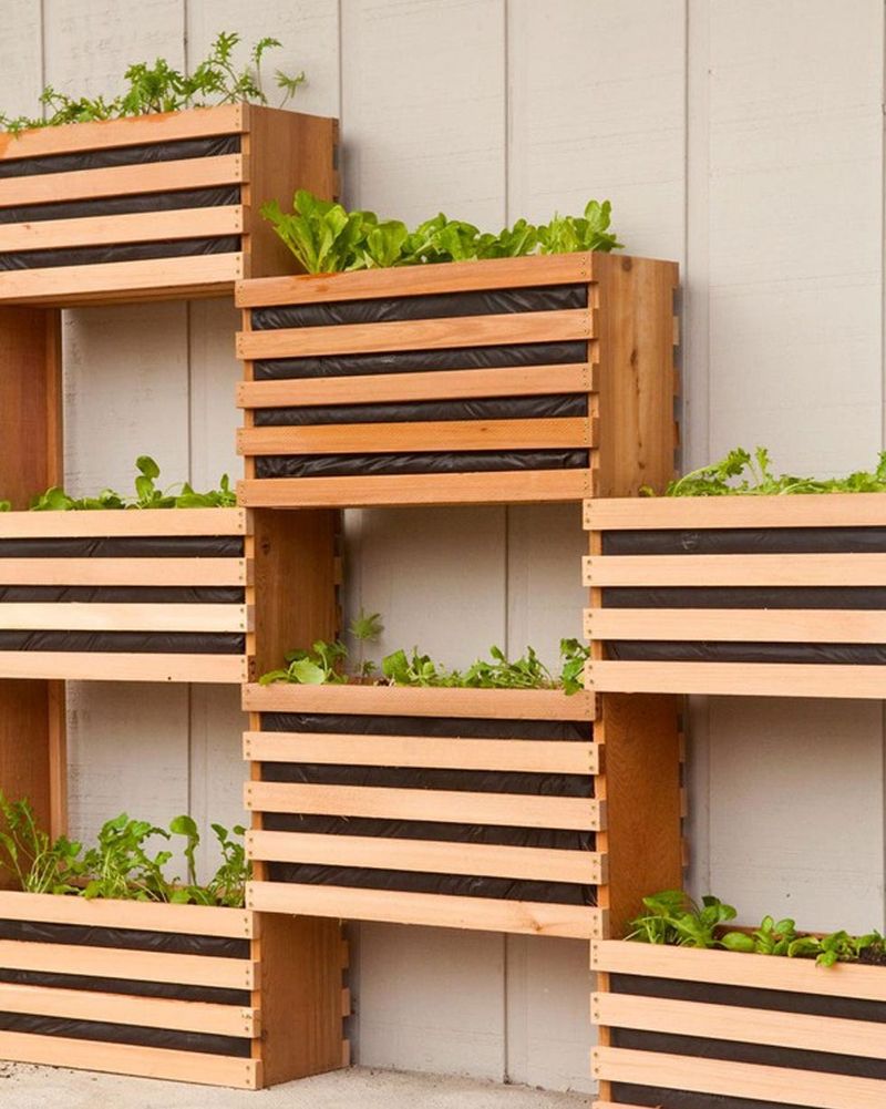 Vertical Garden Wall