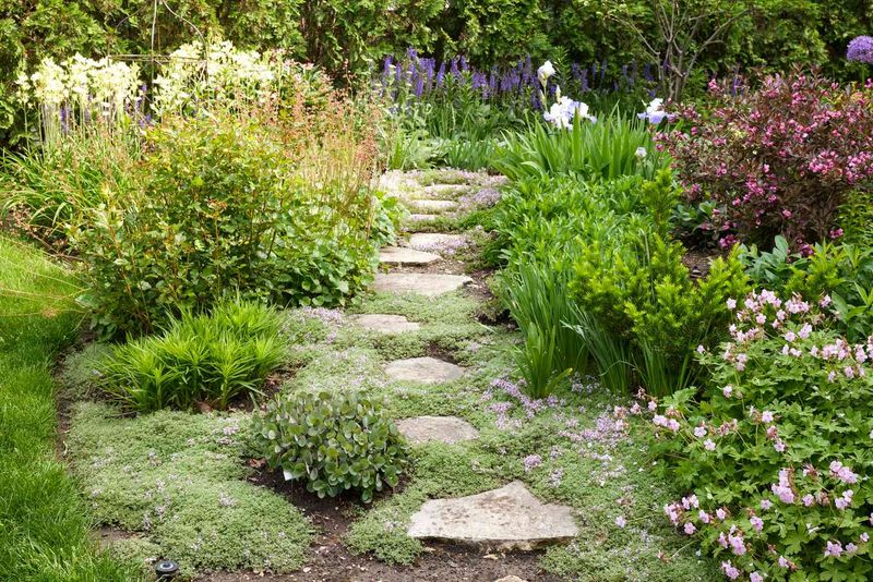Stepping Stone Pathway