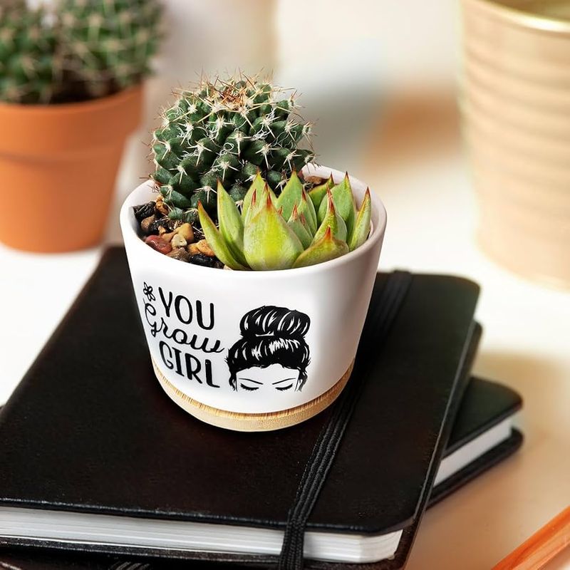 Succulent Coffee Mug Garden