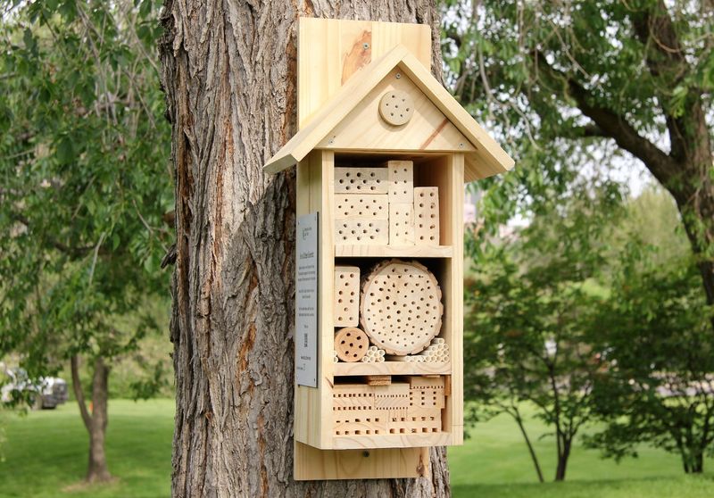 Bat & Bee Hotels