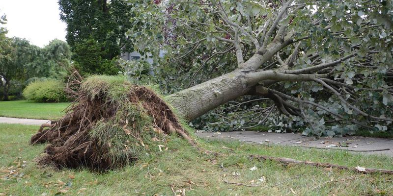 Heaving Soil Around the Base