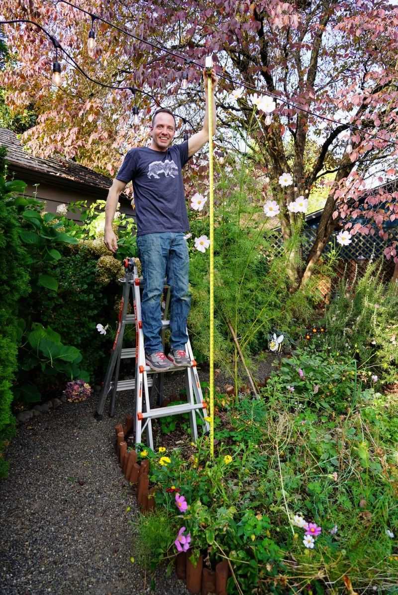 Provide Support for Tall Varieties