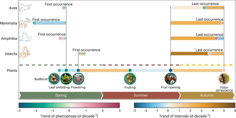 Climate Change Disrupts Ancient Natural Rhythms