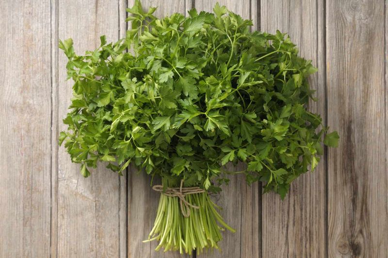 Encourages You to Use Fresh Herbs Daily