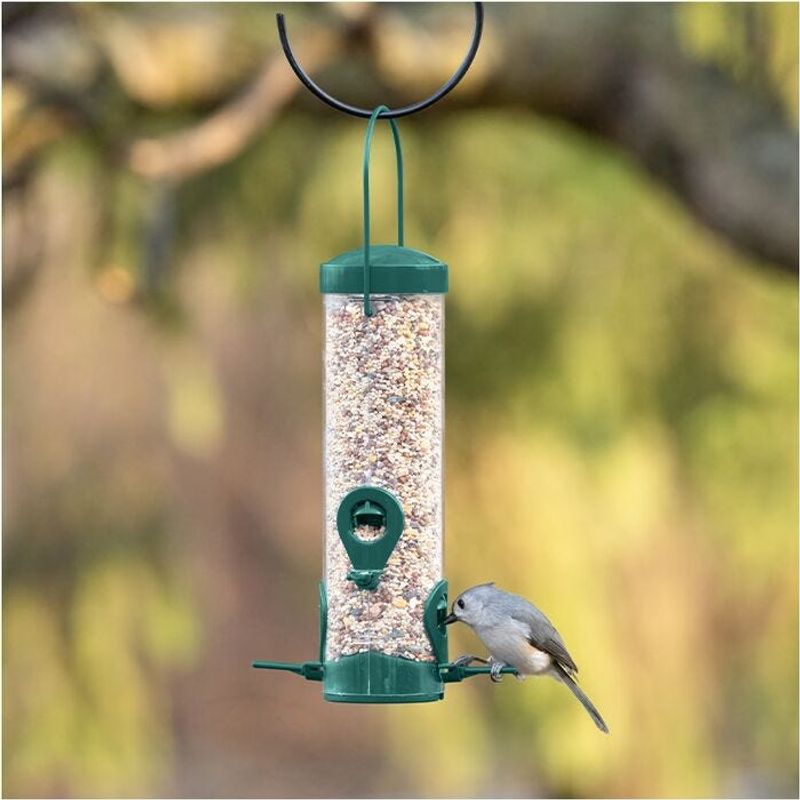 Bird Feeders (Recruit Natural Predators)