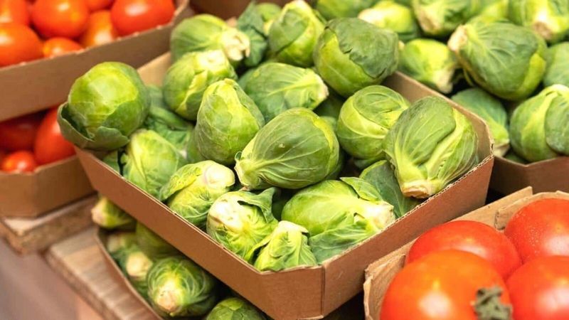 Brussels Sprouts