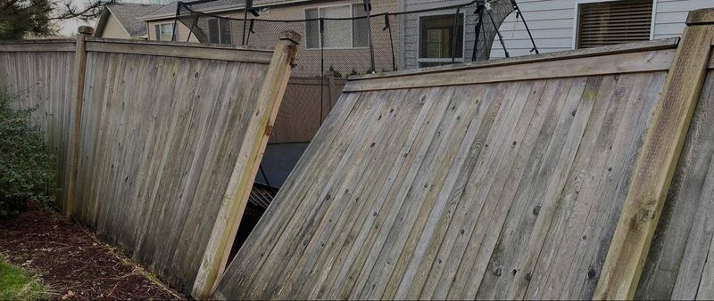 Missing or Damaged Fencing