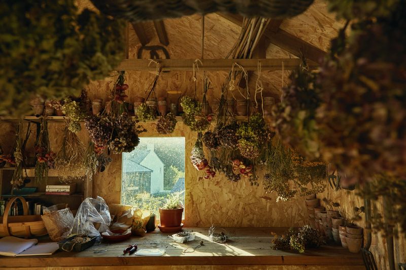 The Escape Plan: Saying Goodbye to the Cubicle Life