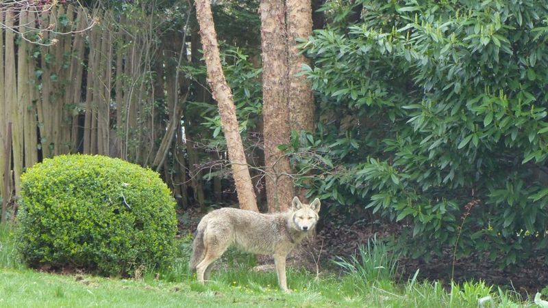 Document the Sighting