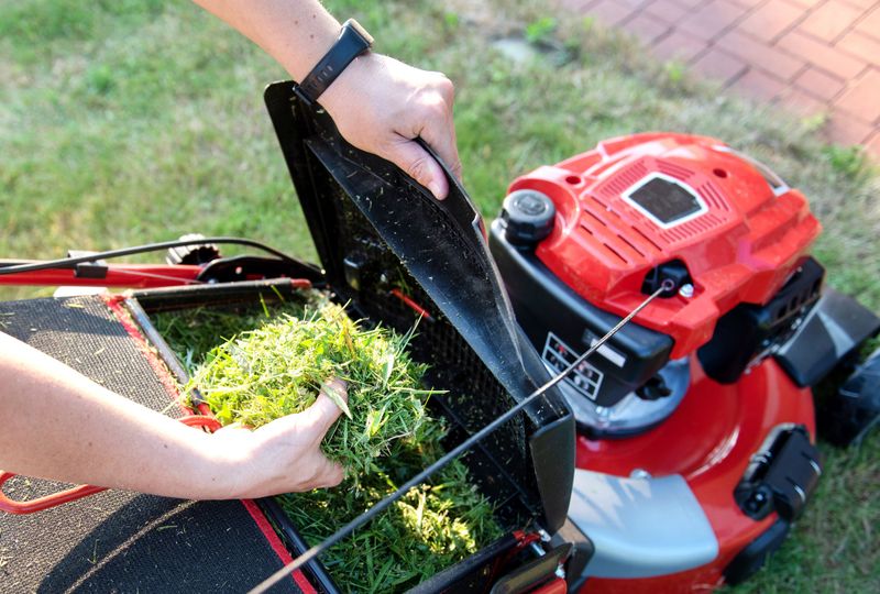 Don't Bag All Clippings (Unless Necessary)
