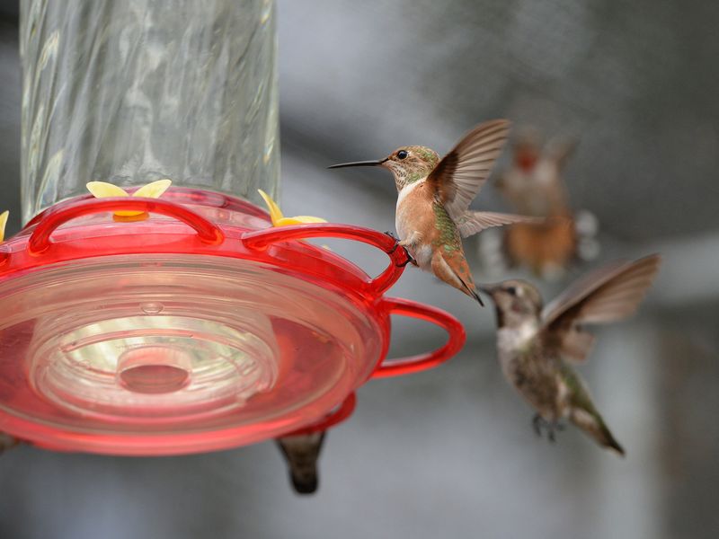 Check for Cracks or Warped Parts