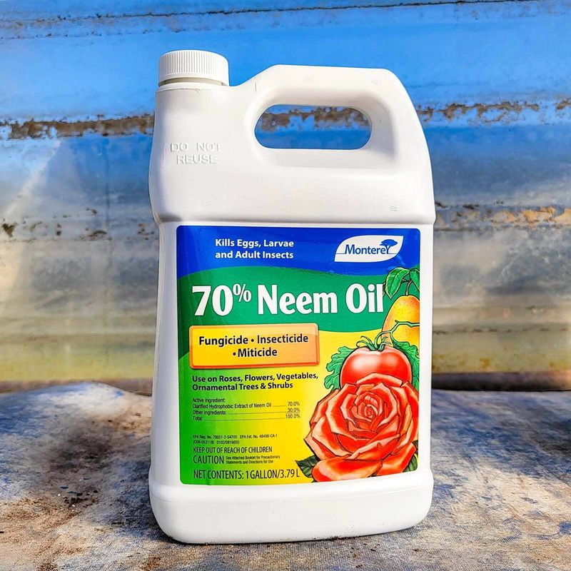 Neem Oil Spray