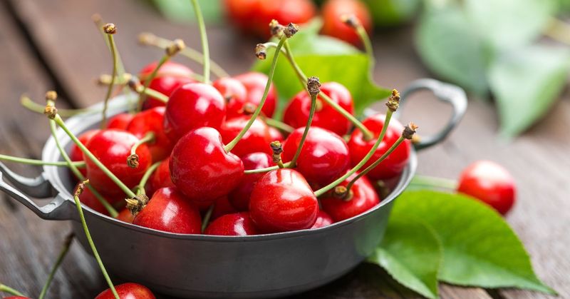 Cherries
