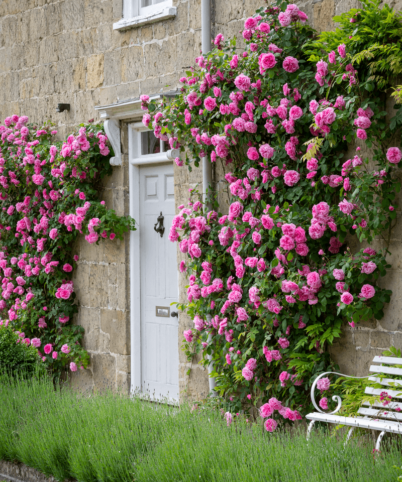 Privacy and Screening