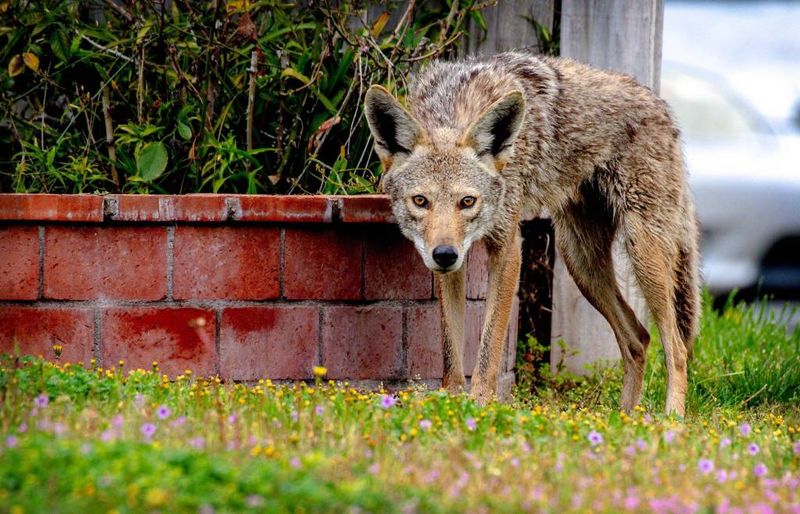 Remove Water Sources