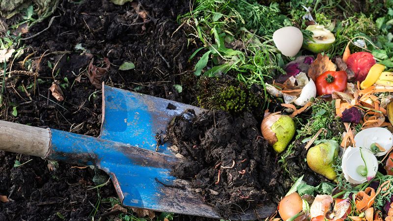 Composting Practices