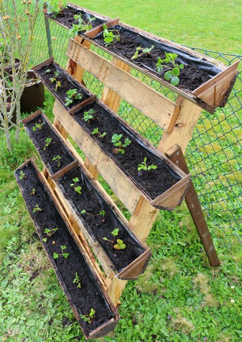 Strawberry Pallet Planter