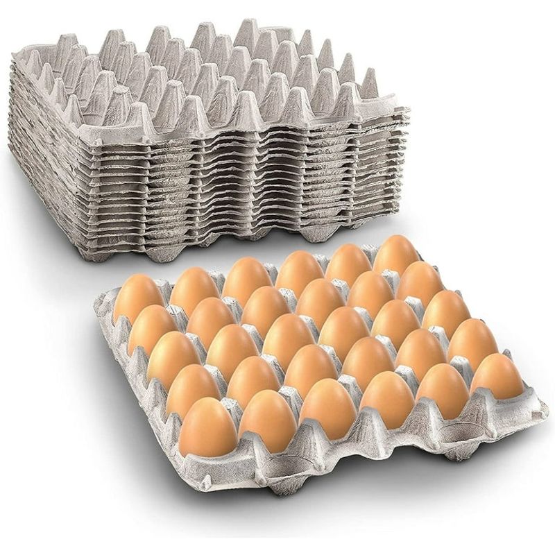 Egg Cartons