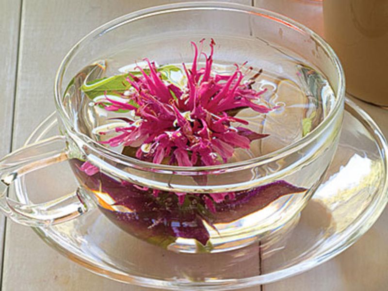 Bee balm – Like oregano + citrus, great in teas.