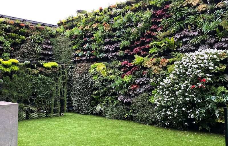 Vertical Gardens