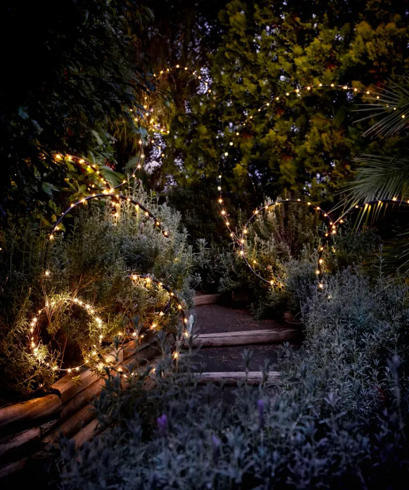 Enchanting Fairy Lights
