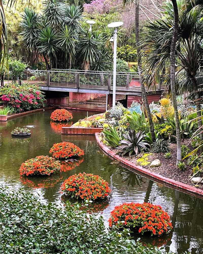 Floating Flower Beds