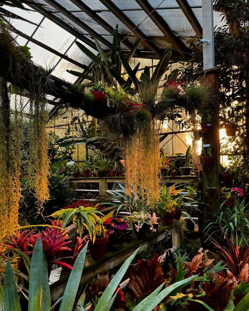 Butterfly Haven of the Tropics