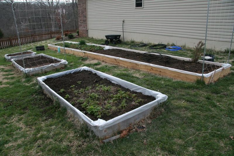 Raised Bed Mismanagement