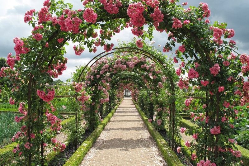 Romantic Rose Haven