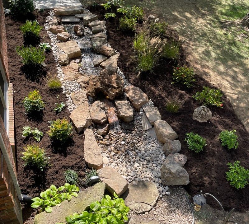 Disorderly Garden Beds