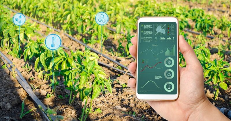 PRO TIP: Install a Smart Irrigation Controller
