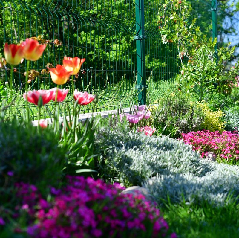 Planting at the Wrong Time