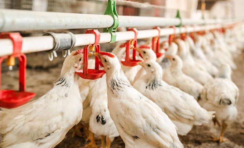 Offer Clean Water Daily