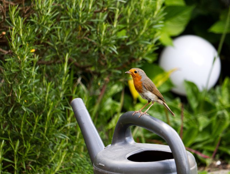 Overuse of Pesticides