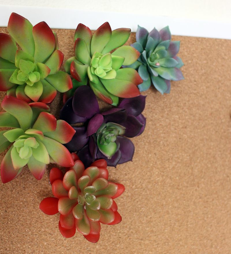Cork Board Succulent Garden