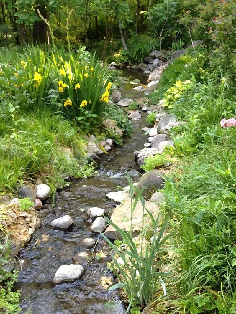 Garden Stream
