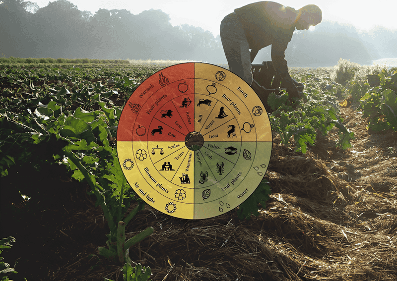 Biodynamic Farming Practices