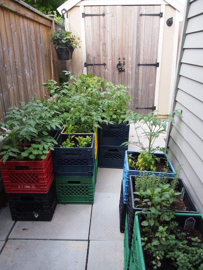 Instant Raised Beds