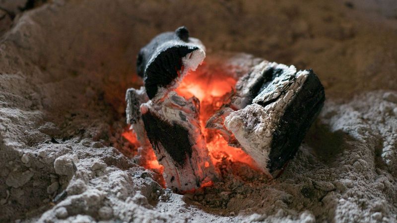 Using Treated Wood or Ashes