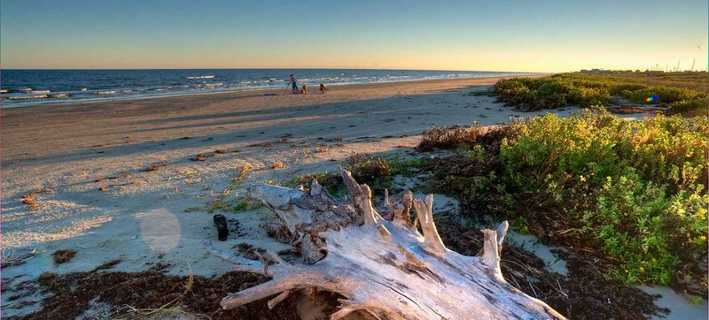 Galveston's Coastal Sanctuary