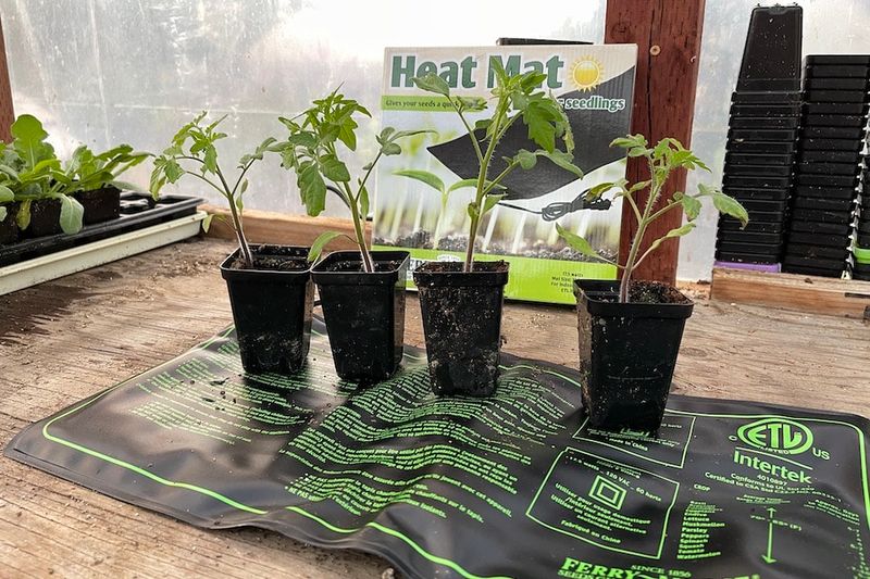 Heating Mats for Plants