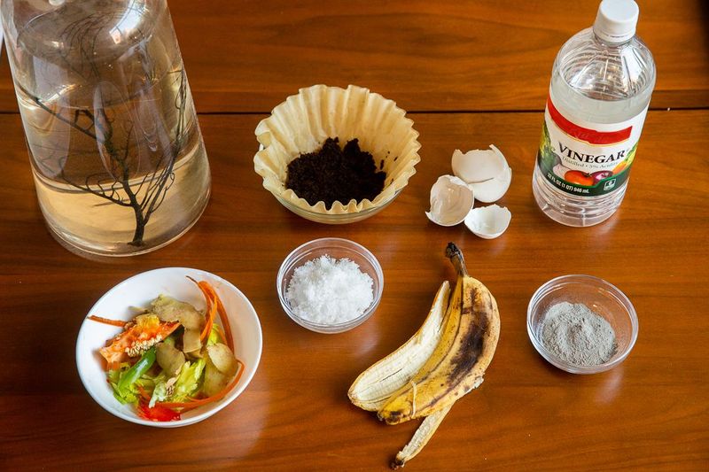 Creating Homemade Fertilizers