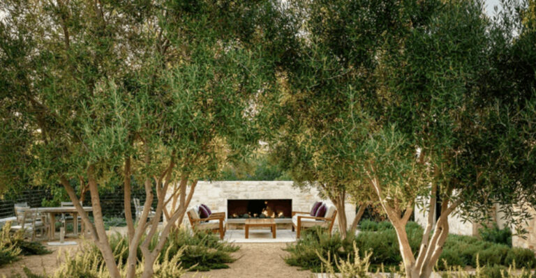 Garden Envy Guaranteed: Steal These 21 Contemporary Plant Ideas Now!
