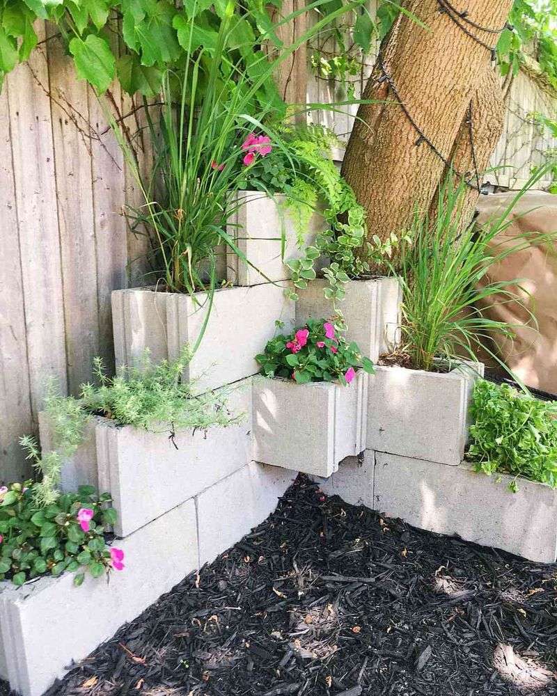 Planting in Concrete Blocks (Cinder Block Gardens)
