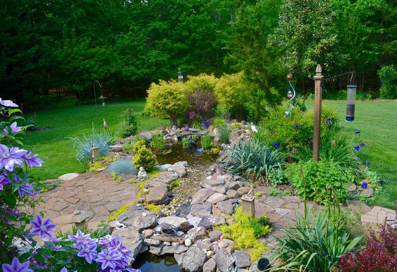 Wildlife-Friendly Features