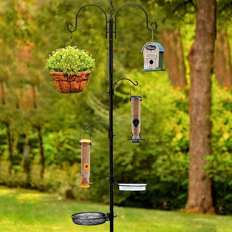 Bird Feeder Station