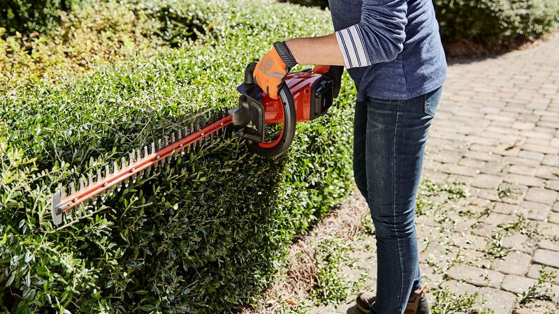 Hedge Trimmer
