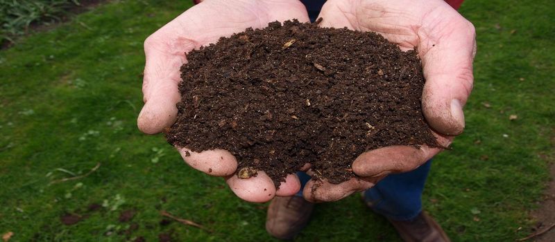 Soil Quality Matters