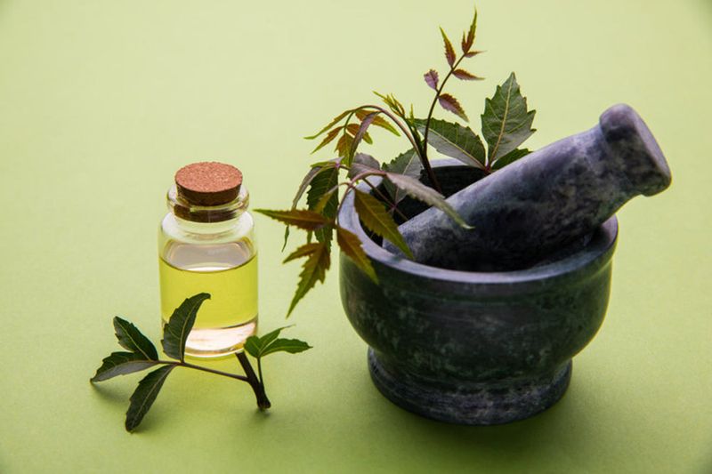 Neem Oil Solution
