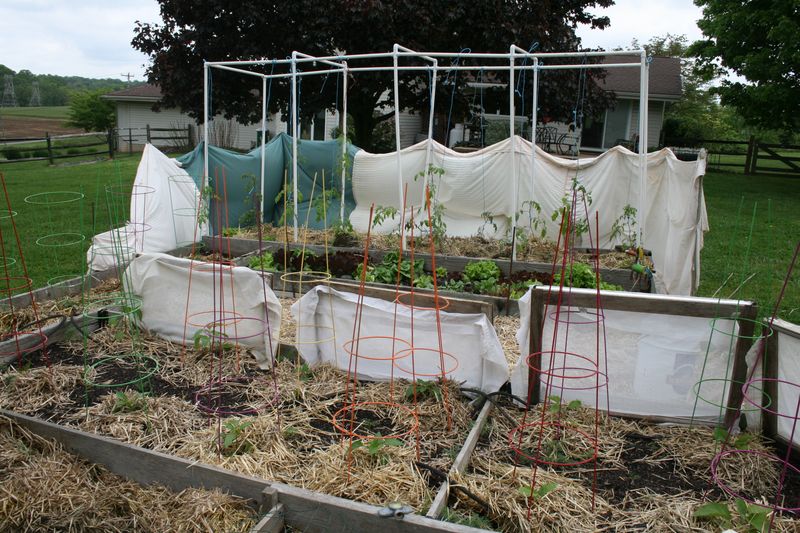 Wind Protection Strategies